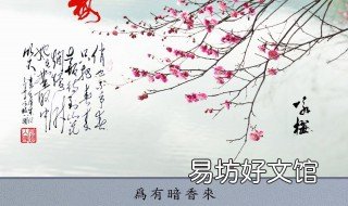 为有暗香来为是什么意思 为有暗香来是指