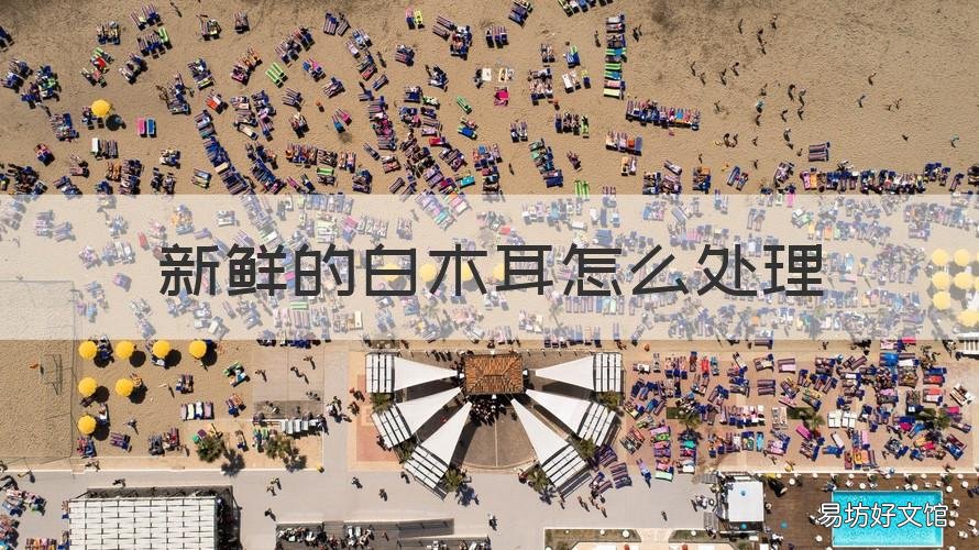 新鲜的白木耳怎么处理 新鲜白木耳如何处理