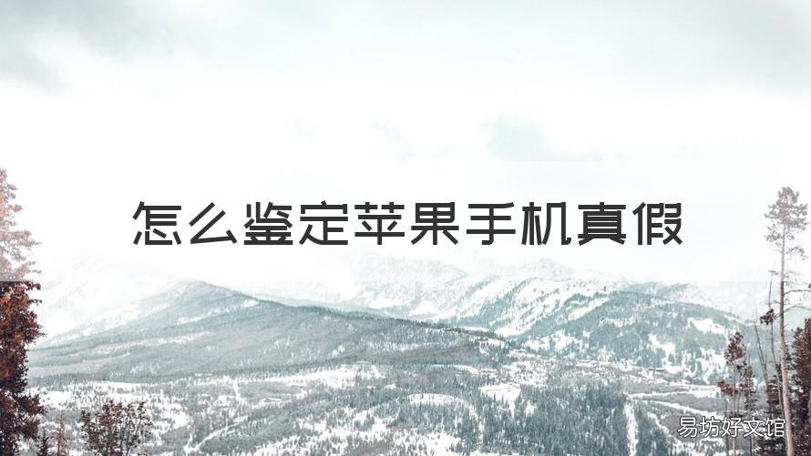 怎么鉴定苹果手机真假 鉴定苹果手机真假最有效的方法?