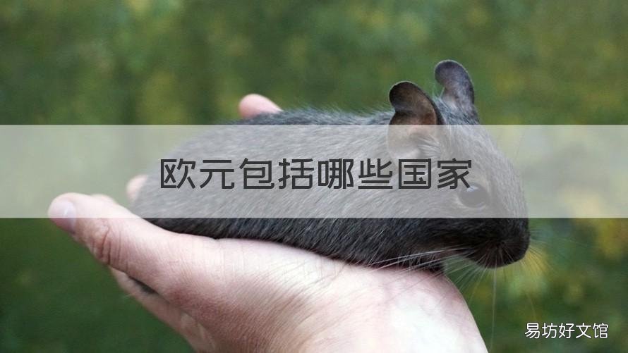 欧元包括哪些国家 欧元什么国家