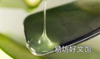 芦荟的吃法和做法 芦荟的吃法?