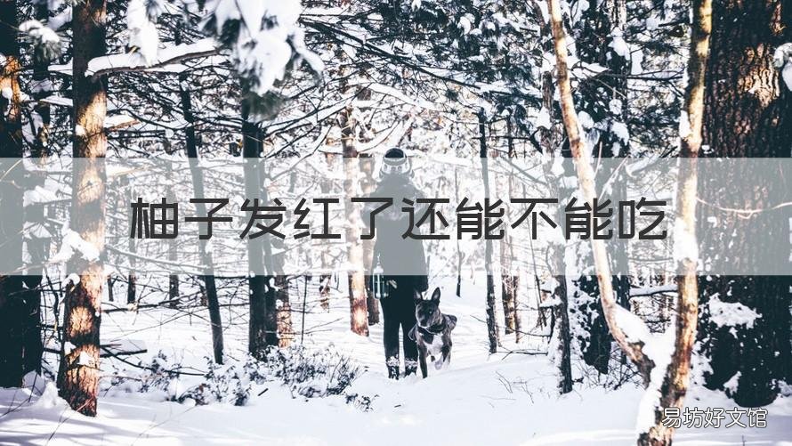 柚子发红了还能不能吃 柚子里面红了还能吃吗