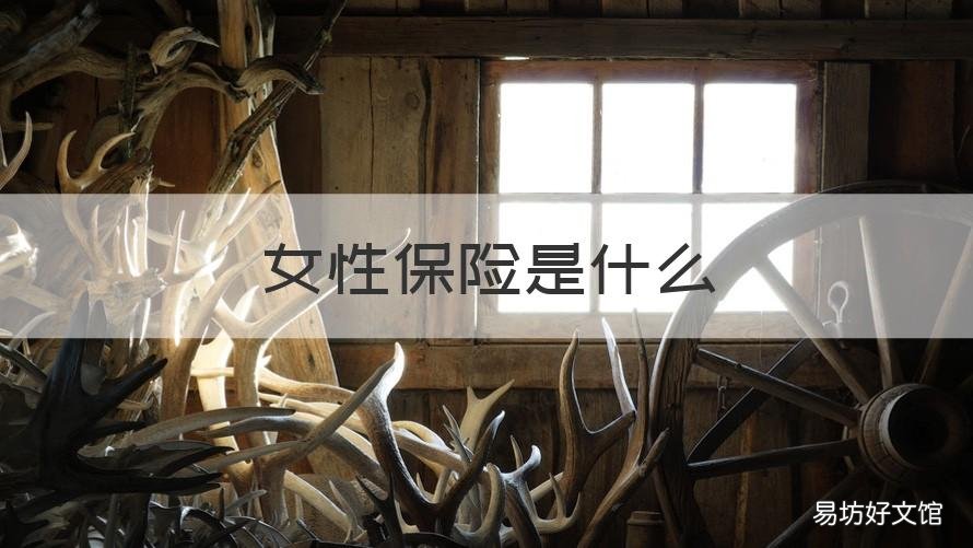 女性保险是什么 女性买保险