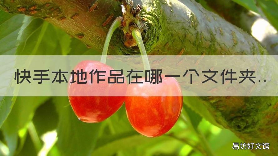 快手本地作品在哪一个文件夹 快手本地作品在哪一个文件夹找