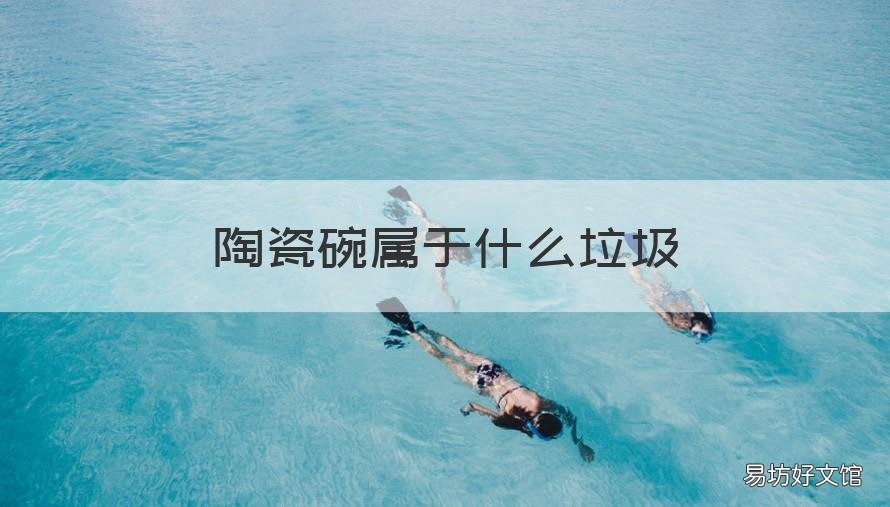 陶瓷碗属于什么垃圾 陶瓷碗属于什么垃圾操作书
