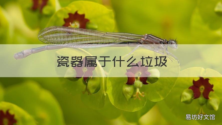 瓷器属于什么垃圾 陶瓷制品属于什么垃圾
