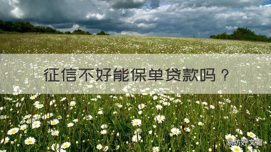 征信不好能保单贷款吗 征信不好可以做保单贷款吗