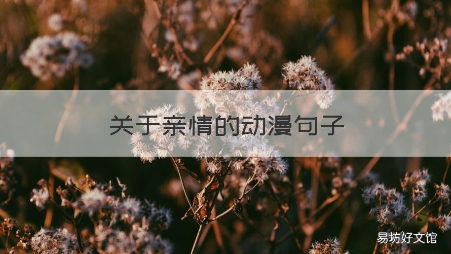 关于亲情的动漫句子 有没有关于亲情的动漫