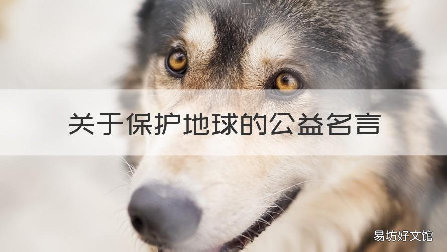 关于保护地球的公益名言 与保护地球有关的名言