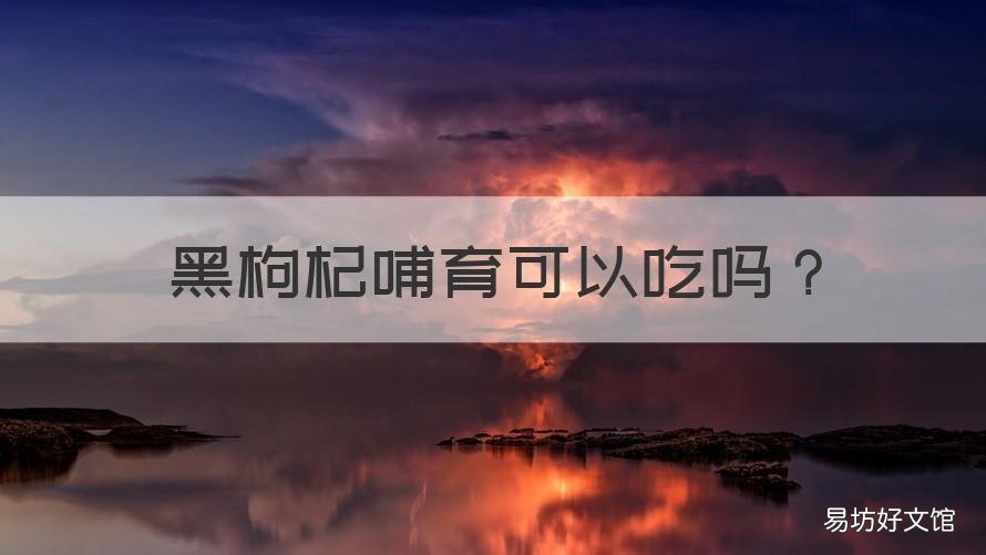 黑枸杞哺育可以吃吗 黑枸杞哺育可以吃吗有毒吗