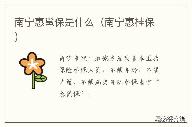 南宁惠邕保是什么 南宁惠桂保