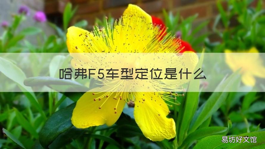 哈弗F5车型定位是什么 哈弗f5配置功能介绍