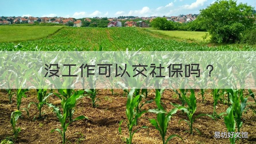没工作可以交社保吗 没工作可以交社保吗?一个月最低多钱