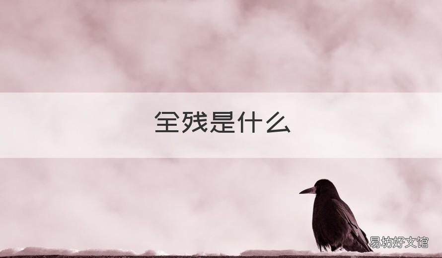 全残是什么 全残具体指什么内容