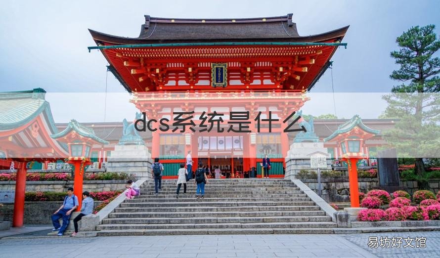 dcs系统是什么