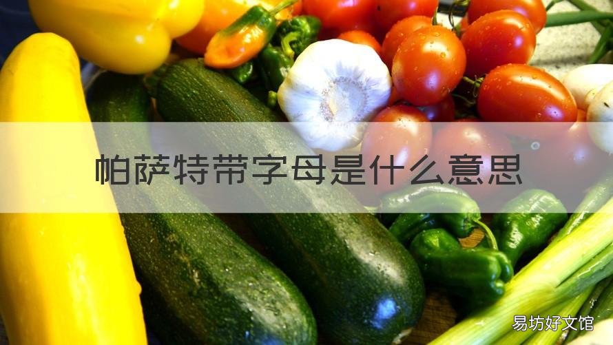 帕萨特带字母是什么意思 帕萨特带字母是什么意思啊