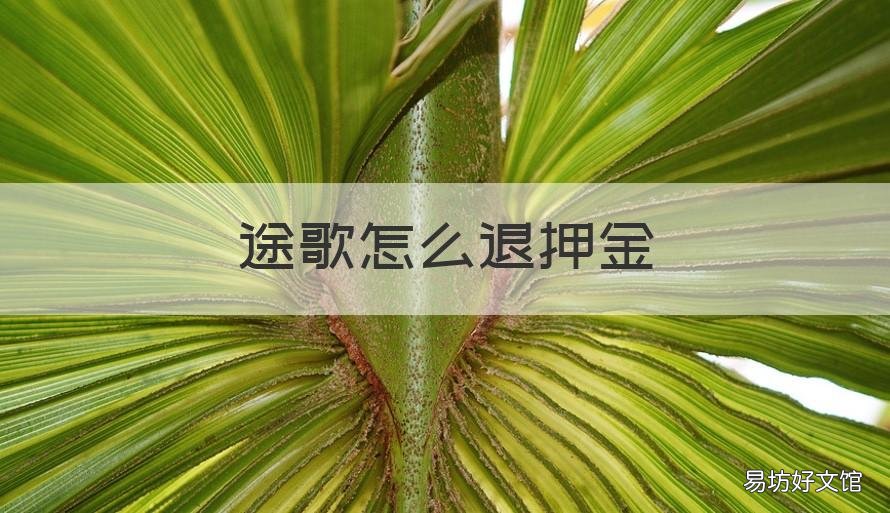 途歌怎么退押金 途歌退押金群