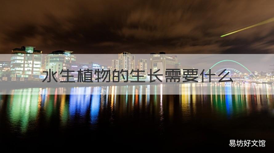 水生植物的生长需要什么 水生植物的生长环境
