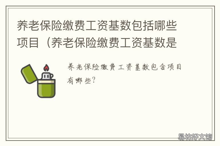 养老保险缴费工资基数包括哪些项目 养老保险缴费基数都包含什么