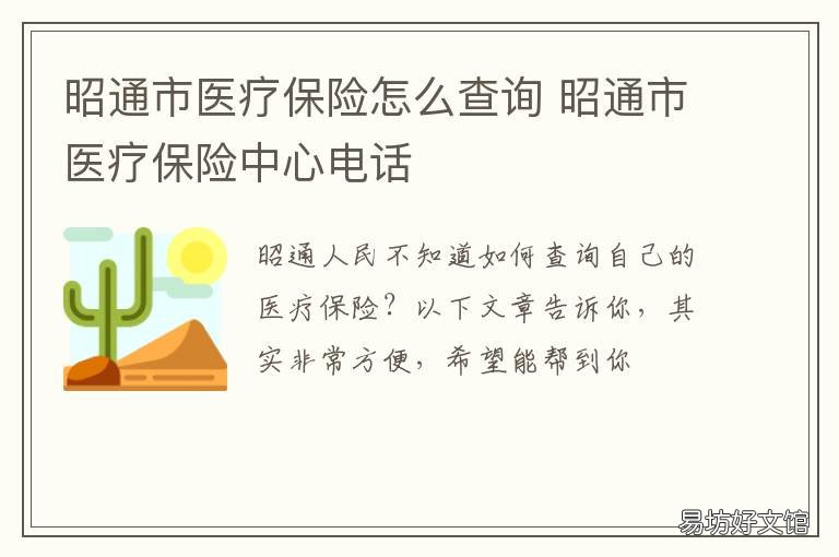 昭通市医疗保险怎么查询