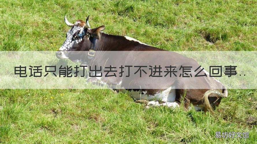 电话只能打出去打不进来怎么回事 电话打不出去,但是可以打进来