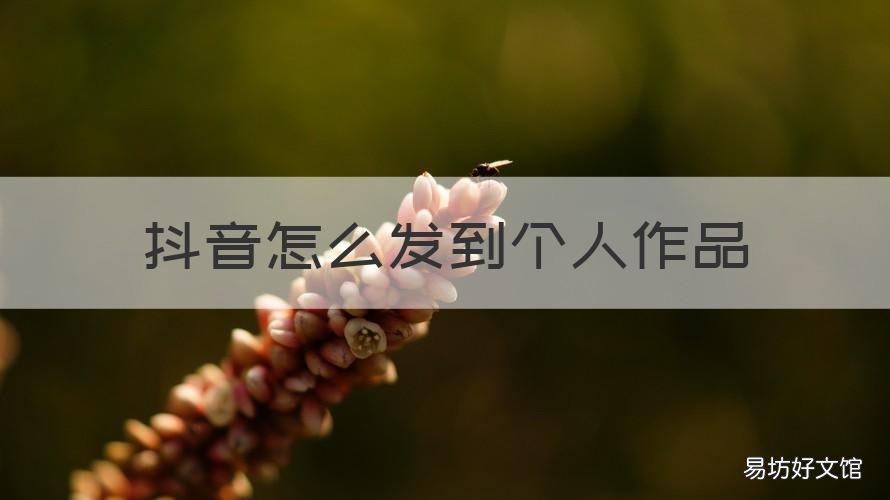 抖音怎么发到个人作品 抖音怎么发自己作品呢