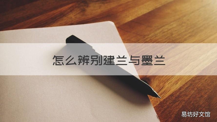 怎么辨别建兰与墨兰 如何辨别墨兰和建兰