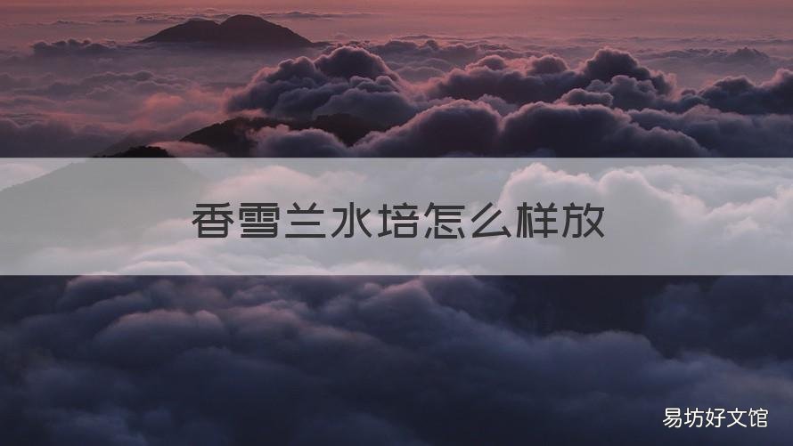 香雪兰水培怎么样放 香雪兰水培方法