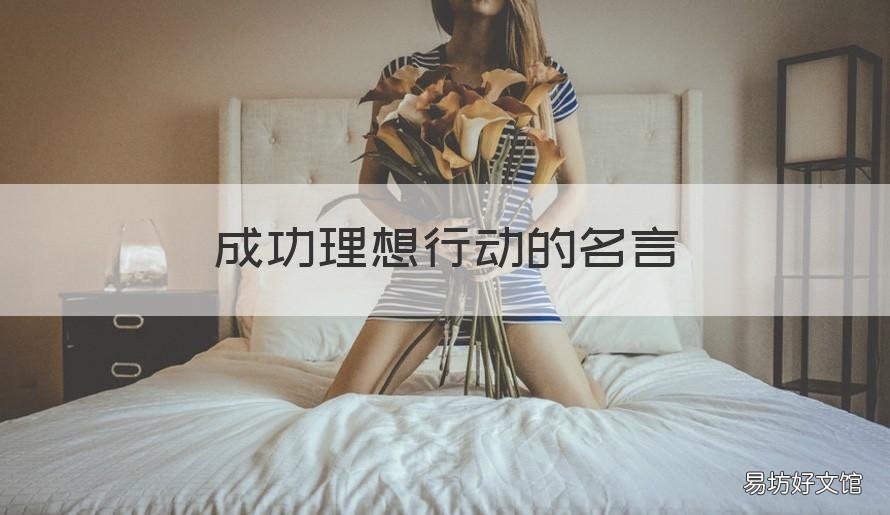 成功理想行动的名言 成功理想行动的名言名句