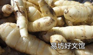 竹薯如何保存 竹芋如何保存
