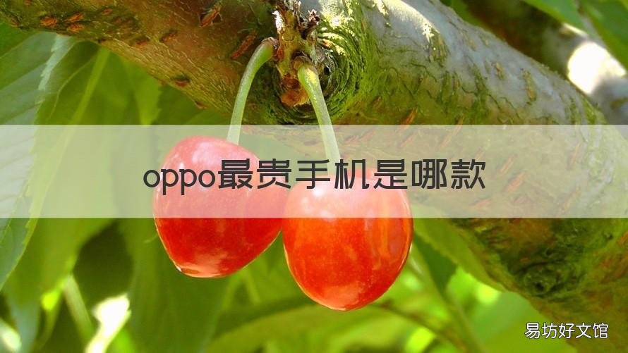 oppo最贵手机是哪款 oppo最贵的手机是哪一款手机