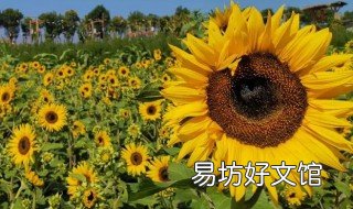 宝鸡19路公交车路线 宝鸡19路公交车路线查询