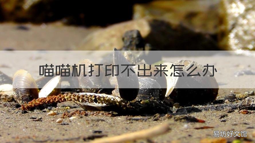 喵喵机打印不出来怎么办 为什么喵喵机打印不出来了