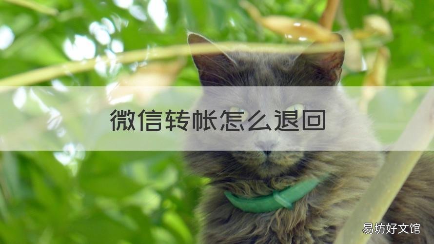 微信转帐怎么退回 微信转帐怎么退回一部分金额