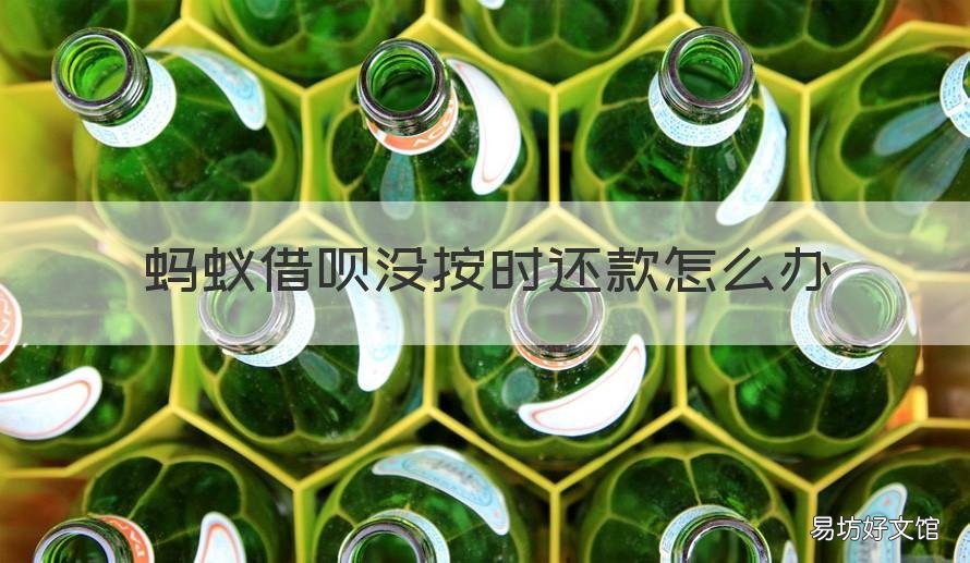 蚂蚁借呗没按时还款怎么办 支付宝借呗没有按时还款怎么办