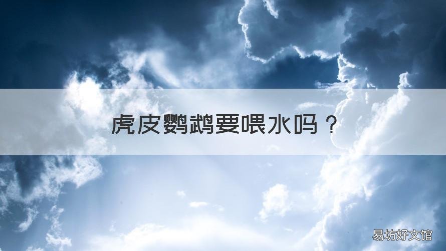 虎皮鹦鹉要喂水吗 虎皮鹦鹉能喂水吗