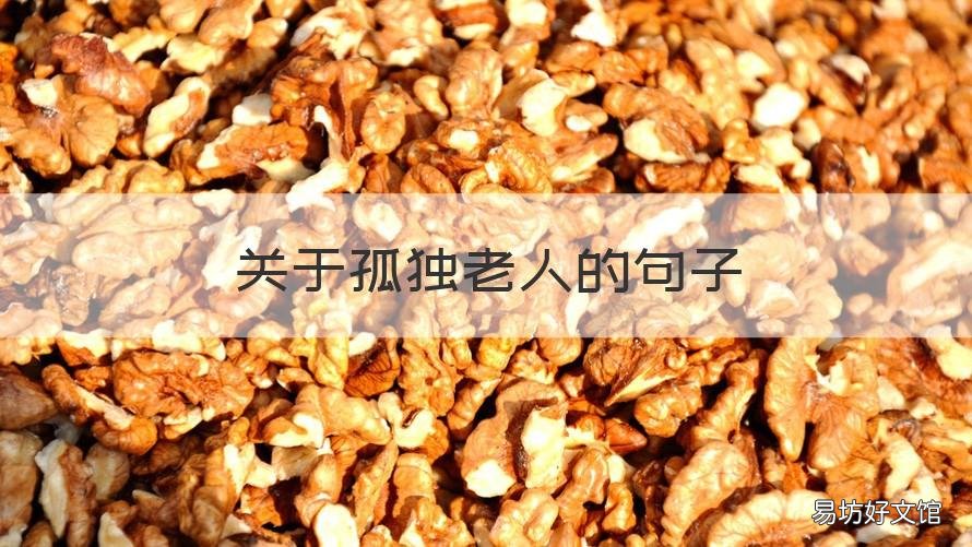 关于孤独老人的句子 形容孤独老人的短句