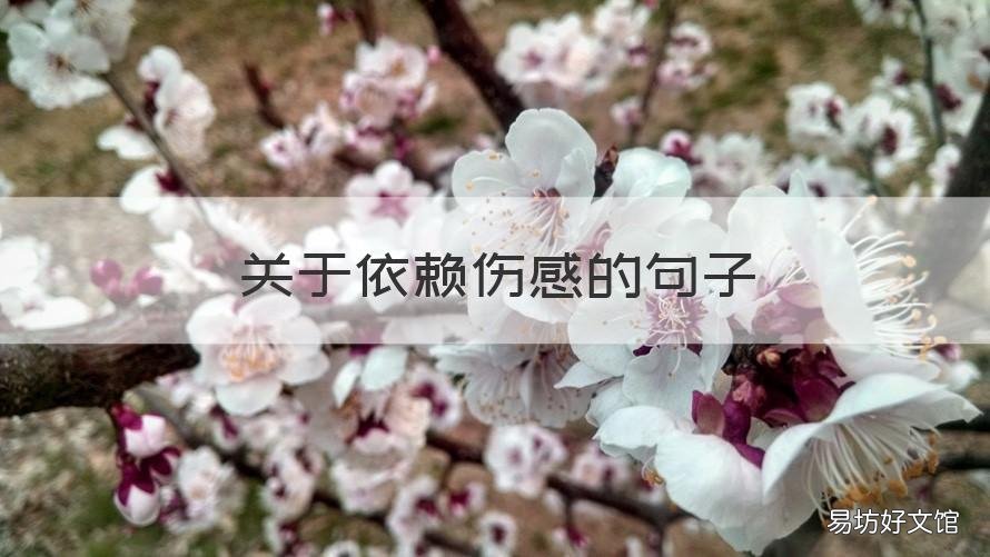 关于依赖伤感的句子 依赖的唯美句子