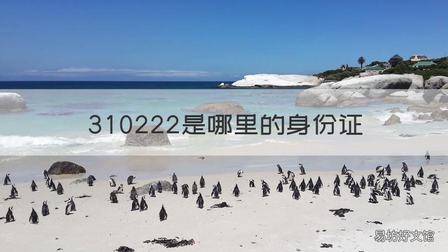 310222是哪里的身份证 310222是哪里的身份证开头