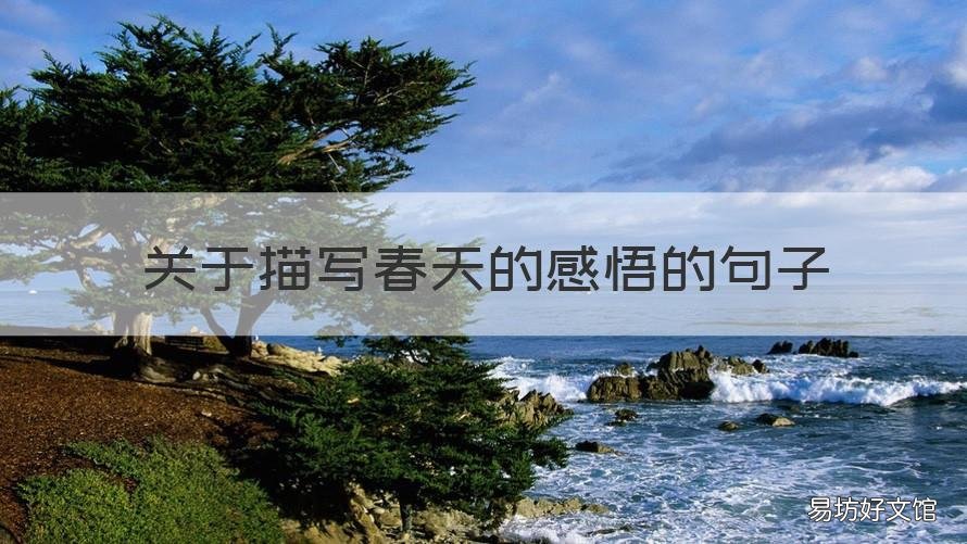 关于描写春天的感悟的句子 关于描写春天的感悟的句子简短