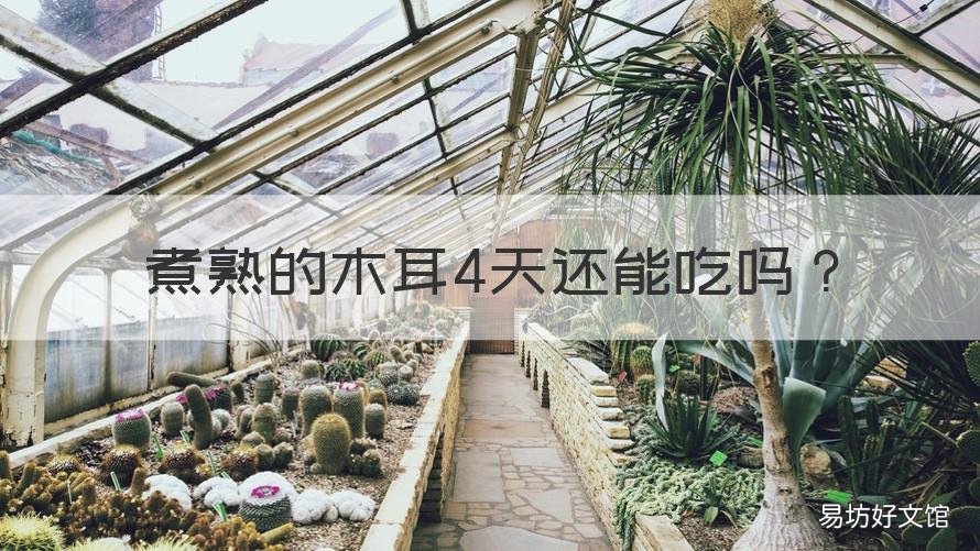 煮熟的木耳4天还能吃吗 木耳煮熟两天还能吃吗
