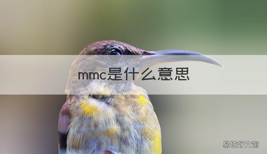 mmc是什么意思 车牌mmc是什么意思