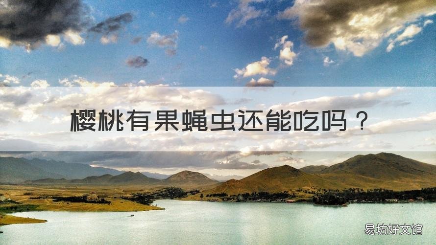 樱桃有果蝇虫还能吃吗 樱桃有果蝇虫还能吃吗图片