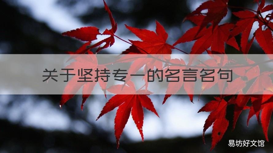 关于坚持专一的名言名句 关于坚持专一的名言名句有哪些