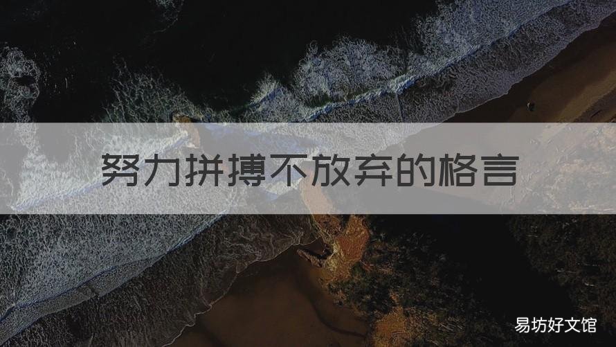 努力拼搏不放弃的格言 努力拼搏不放弃的格言有哪些