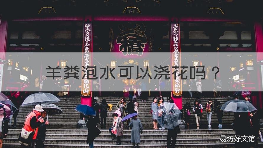 羊粪泡水可以浇花吗 发酵的羊粪可以兑水浇花吗