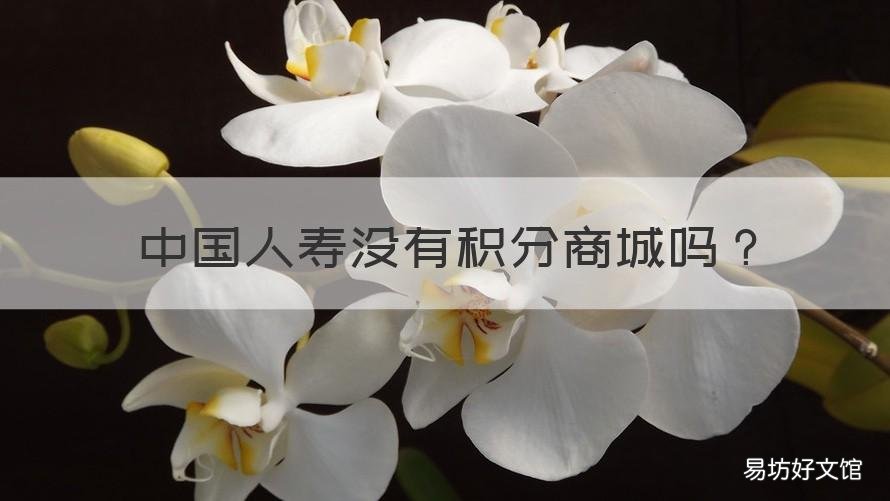 中国人寿没有积分商城吗 不知道的世界作者