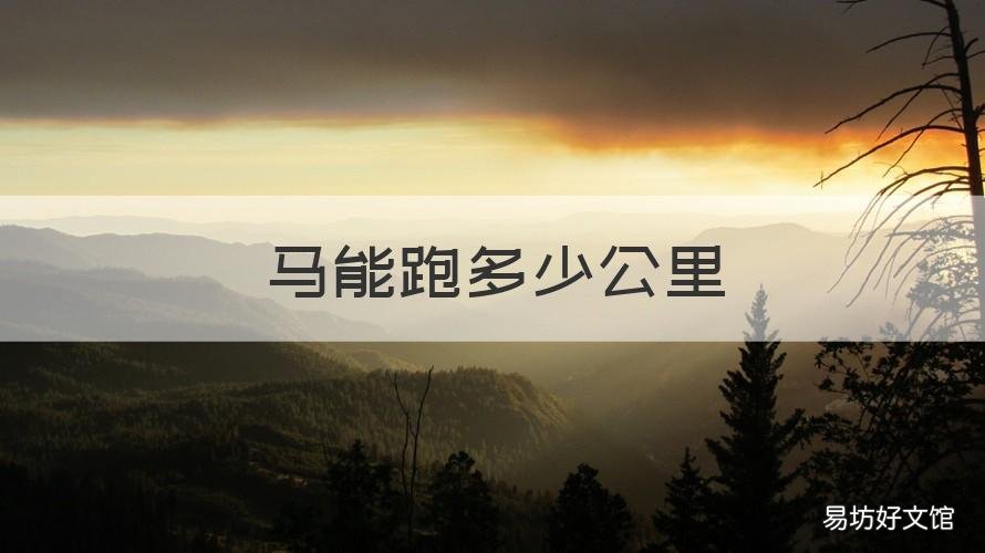 马能跑多少公里 马能跑多少公里不休息