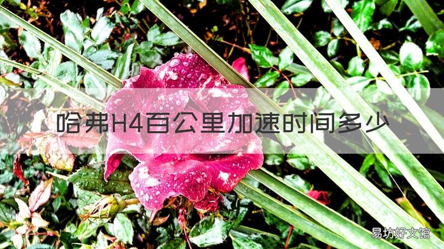 哈弗H4百公里加速时间多少 哈弗h4最快能跑多少