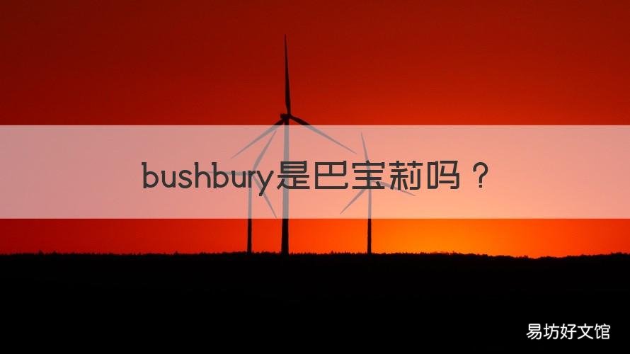 bushbury是巴宝莉吗 巴宝莉和tory burch